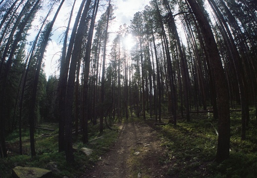 Baker Gulch Trail